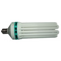 300W 2700K CFL Lamp