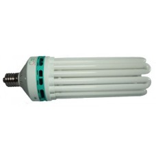 300W 2700K CFL Lamp