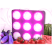 Extreme 189X0PRO - 290W LED Grow Light