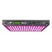 Kind K5 XL750 WIFI LED Grow Light