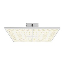 Hacienda QB320 320W LED