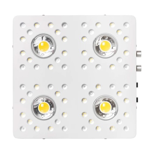Optic 4 shop grow light