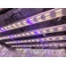 Optic LED Slim 320S Dimmable LED Grow Lights 3500k - (UV)