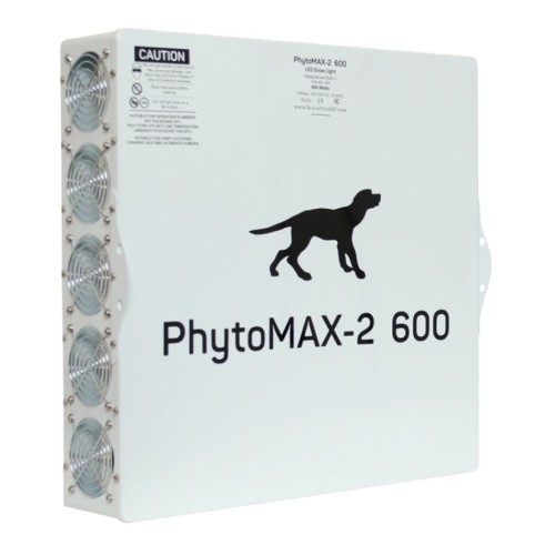 Phyto shop max 2