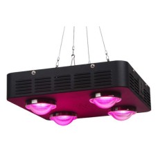 Spider COB 4 LED Grow Light 432W