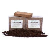 Bio Nova Coco Brick (Pack of 6)