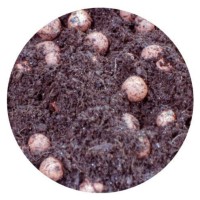 Bio Nova Coco Pebble Mix 60/40 40 Litres