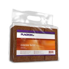 Plagron Cocos Brix 6 per Pack
