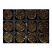 Plant Magic Peat Plugs Tray of 84