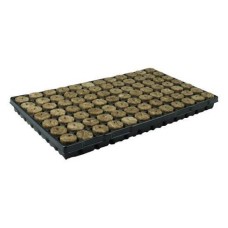 Speed Grow Plugs - Trays