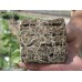 Bio Rockwool Grow Cubes 3"