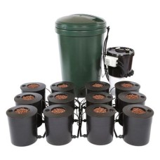 12 Pot IWS DWC System