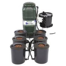 6 Pot IWS DWC System