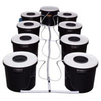 8 Pot Exodus RDWC System