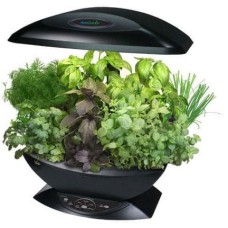 AeroGarden