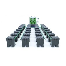 ALIEN RAIN 32 Pot 15L Black Series