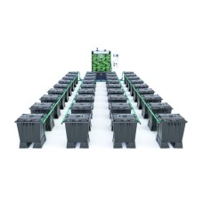 ALIEN RAIN 36 Pot 15L Black Series