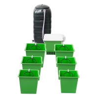 Green Man System 6 Pot RTW System