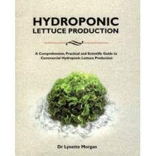 Hydroponics Lettuce Production