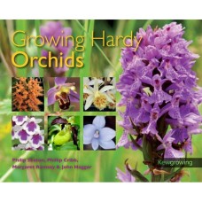 Growing Hardy Orchids