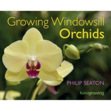 Growing Windowsill Orchids