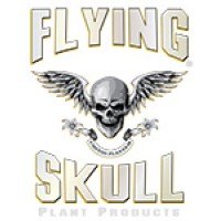 Flying Skull