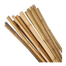 Bamboo Canes 4ft