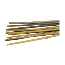 Bamboo Canes 1.5m Pack of 25