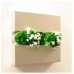 Flowerbox Metalic