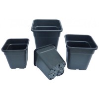 Premium Vega Square Pots