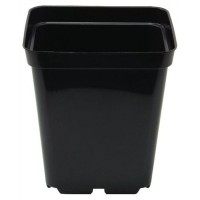 Square Pot 10cm (11cm depth) (0.7L)