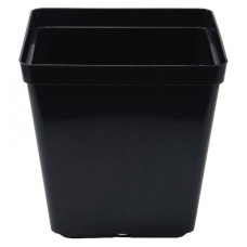 Square Pot 13cm (13cm depth) (1.5L)