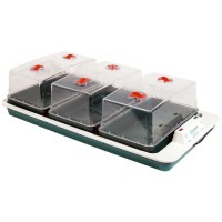 Big Three Heated Propagator