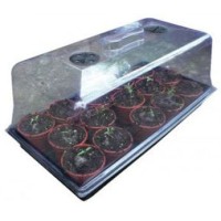 Large Propagator