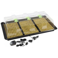 X-Stream Heat Large Propagator