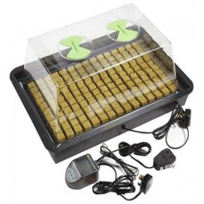 X-Stream Heat Small Propagator