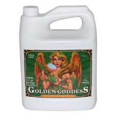 Golden Goddess 1 Litre