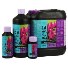 Blossom Builder Liquid