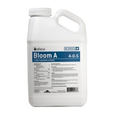 Blended Line - Bloom A