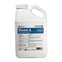 Blended Line - Bloom B