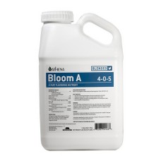 Blended Line - Bloom B