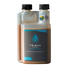 Tribus Original