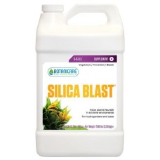 Silica Blast