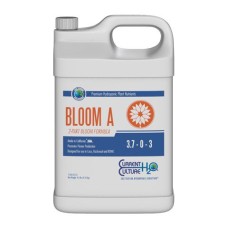 Bloom A