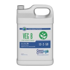 CCH2O Veg B