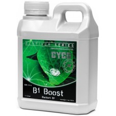 Cyco B1 Boost