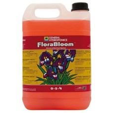 FloraBloom