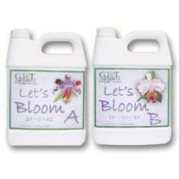 Let's Bloom A&B