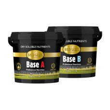 Base A&B