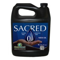 Sacred Oil (Neem Oil)